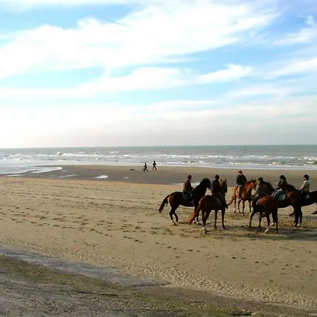 In Near Blankenberge